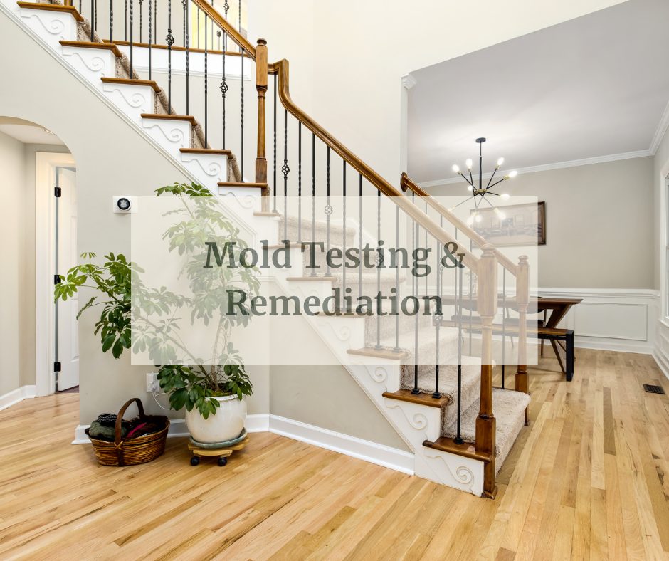 Jill Chuha Website - Vendors (1)